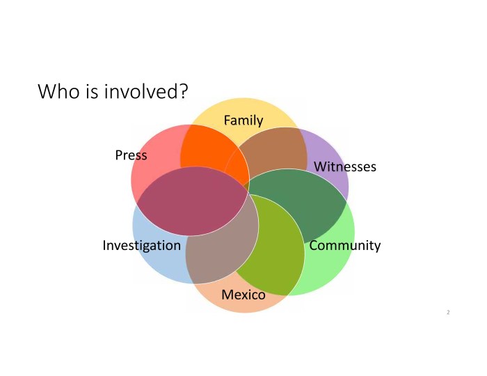 Complexity in LuisGongoraCase_002